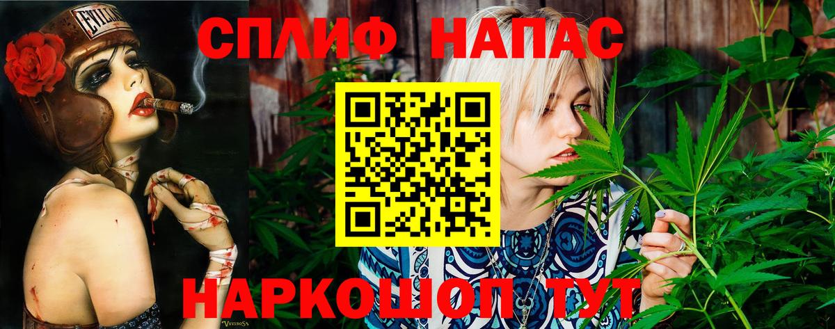 Луга  Шишки марихуана планчик  Канабис план  Бошки Шишки планчик  Конопля AK-47  Вход с VPN 